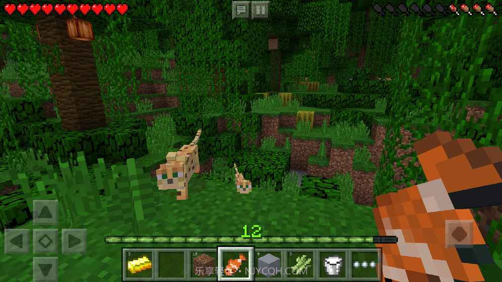 我的世界1.11.0.10国际版截图2