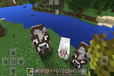 我的世界国际版手机版1.1.6截图2 我的世界国际版手机版1.1.6截图2