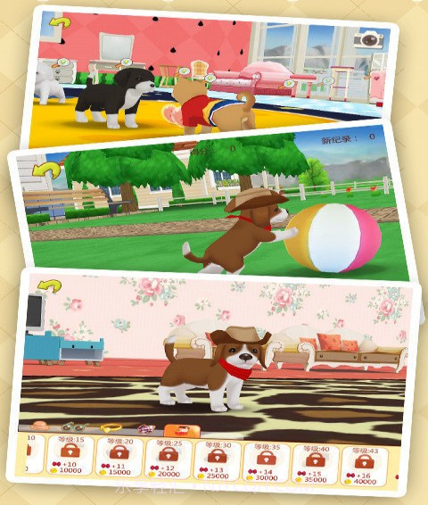 心动小狗伙伴截图4