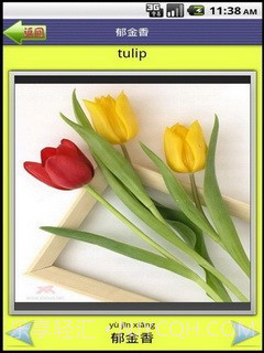 看图识字植物篇截图4 看图识字植物篇截图4