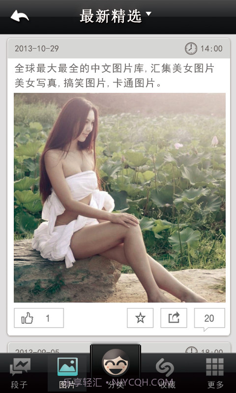 菊花爆点截图3 菊花爆点截图3