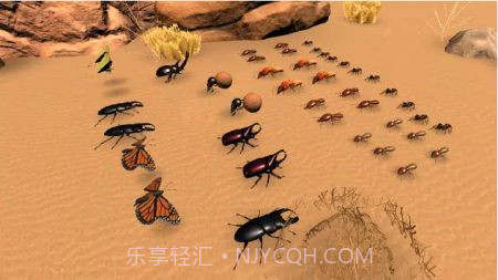 昆虫战斗模拟器截图2 昆虫战斗模拟器截图2