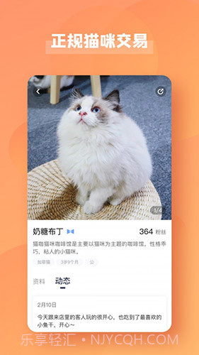 宠酱(安全购猫渠道)V1.2.1 安卓最新版截图3 宠酱(安全购猫渠道)V1.2.1 安卓最新版截图3