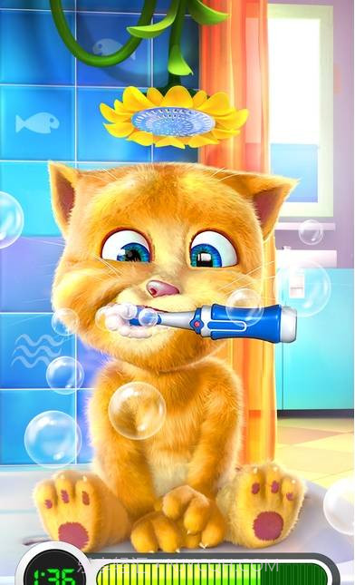 会说话的金杰猫最新版截图1 会说话的金杰猫最新版截图1