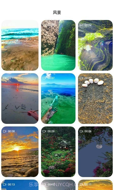 飞花动态壁纸截图3 飞花动态壁纸截图3