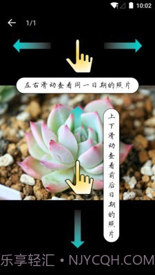 多肉成长记截图4