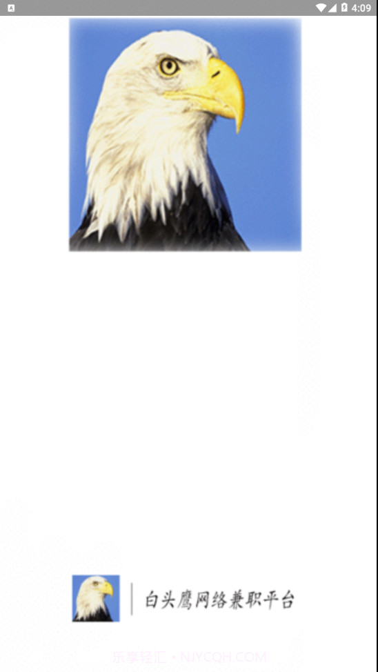 白头鹰网络兼职app截图1