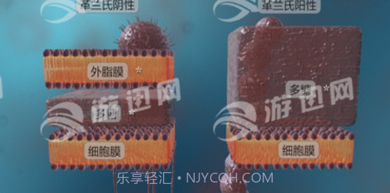 细菌互动教育免费版截图2