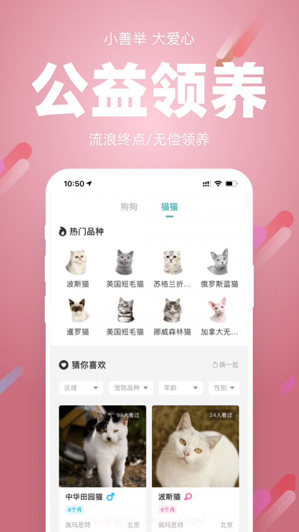 宠朕截图1 宠朕截图1