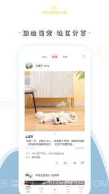 MeowMate截图3 MeowMate截图3