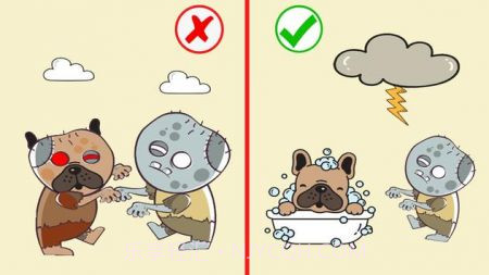 拯救狗狗们截图1