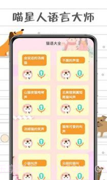 小猫交流器截图1