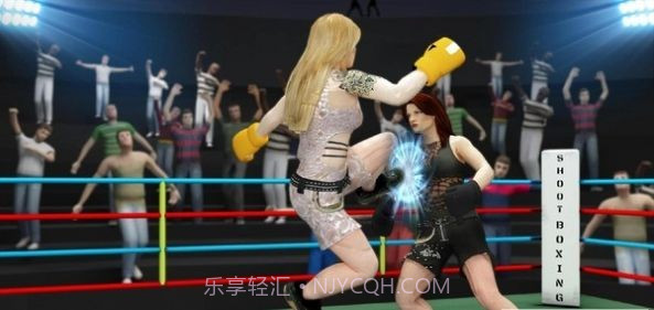 实拍拳击比赛截图1