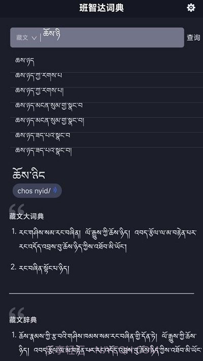 班智达词典截图4 班智达词典截图4