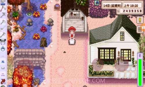 星露谷物语法师结婚mod截图3