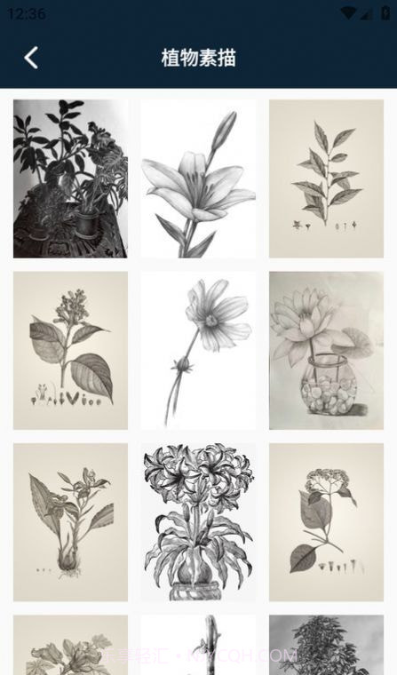 半岛应用平台截图4 半岛应用平台截图4