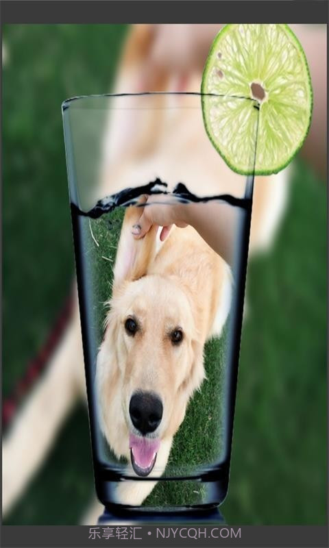 趣拍玩图照相机截图5 趣拍玩图照相机截图5