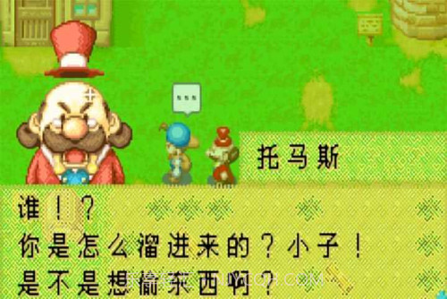 开罗牧场物语截图1 开罗牧场物语截图1