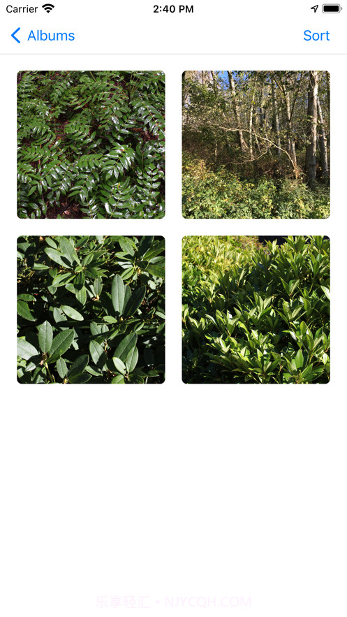 Location-Camera截图3