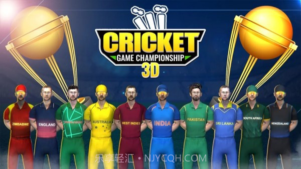 板球比赛冠军3D截图1