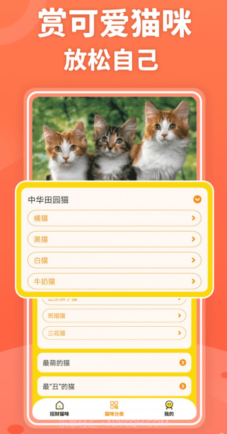 招财进猫截图4 招财进猫截图4