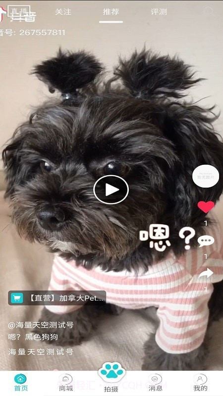 分分宠最新版截图1 分分宠最新版截图1