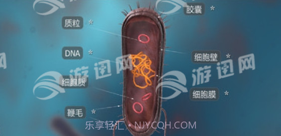 细菌互动教育最新版截图1