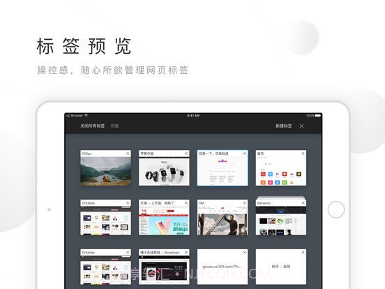 松鼠图标的浏览器截图4