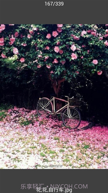 All图片批量下载截图3