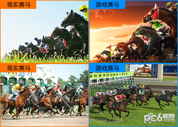 相马大师截图3 相马大师截图3