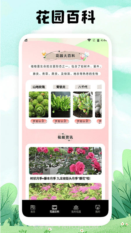 万物识图免费版截图4