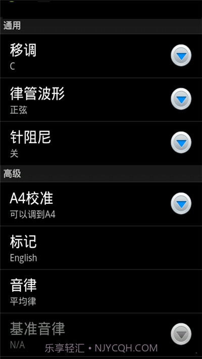 专业调音器免费版截图1