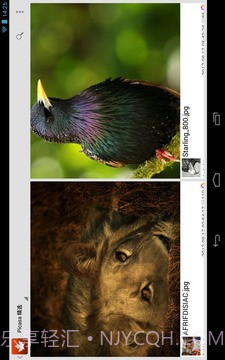 我的图库截图4 我的图库截图4