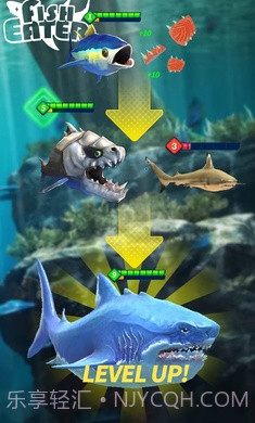 鲨鲨进化论截图4