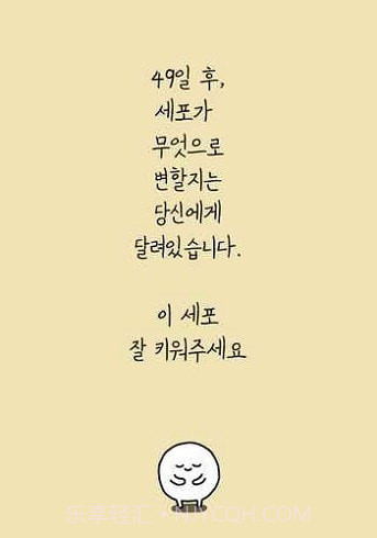 我和细胞的49天生活截图3