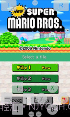 NDS模拟器:Dsoid截图1