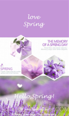 你好春天(你好春天壁纸软件)v3.5.14 正式版截图4