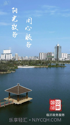 临沂政务服务截图1