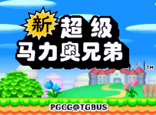 nds新超级马里奥兄弟截图1