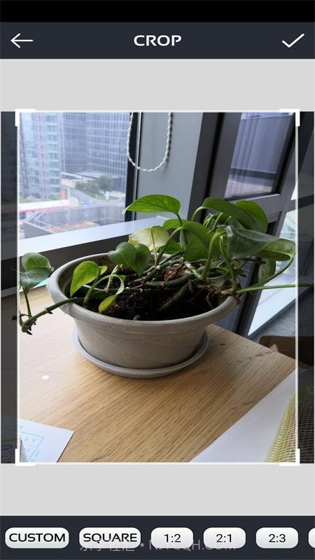 激发你的灵感截图3 激发你的灵感截图3