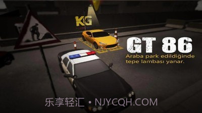 停车场之王截图4