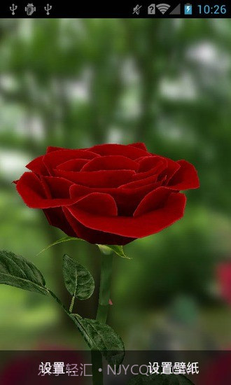 3D玫瑰动态壁纸截图1 3D玫瑰动态壁纸截图1