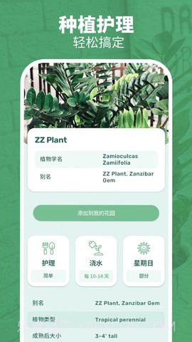 繁花盛开截图2 繁花盛开截图2