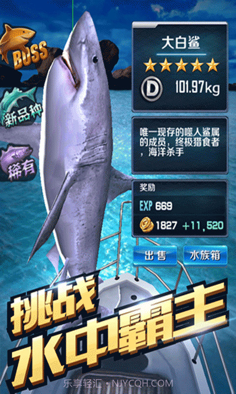 全民钓鱼截图3 全民钓鱼截图3