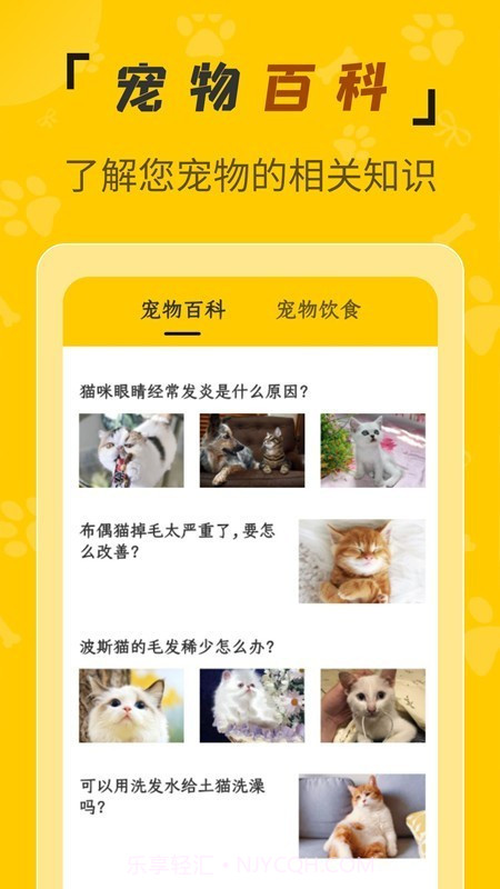 人猫翻译机截图4 人猫翻译机截图4