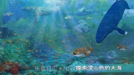 全民养鲸鱼红包版截图1 全民养鲸鱼红包版截图1