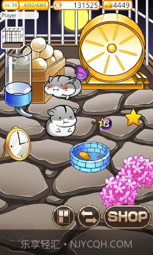可爱的小仓鼠 Hamster Life截图4