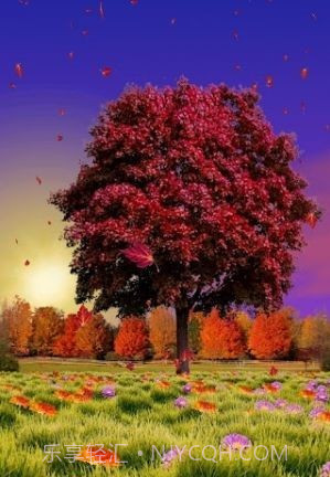 秋天动态壁纸截图3 秋天动态壁纸截图3