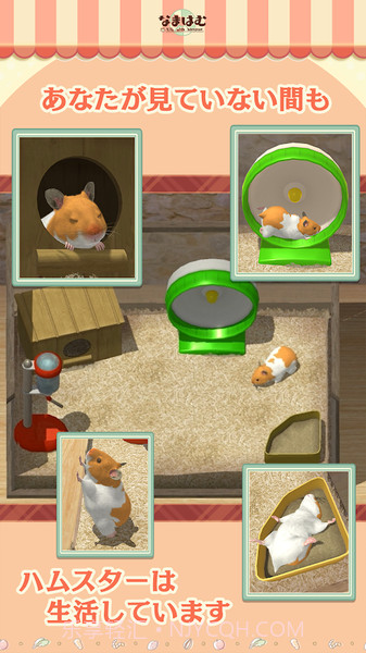 云仓鼠v3.4截图2 云仓鼠v3.4截图2