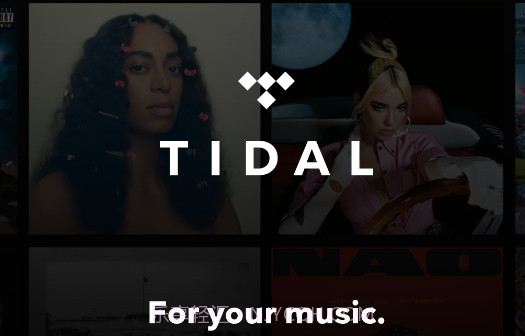 TIDAL音乐正版截图1